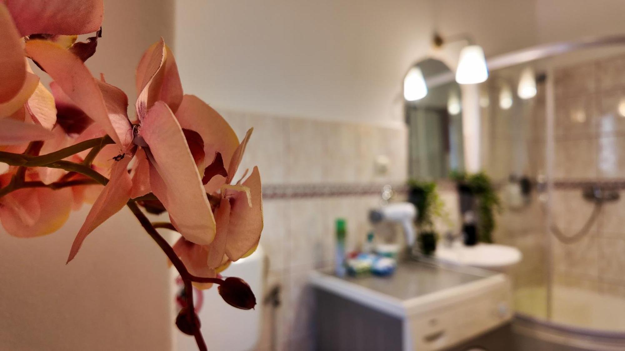 Intimo Oldtown Romantic Apartment 布拉索夫 外观 照片